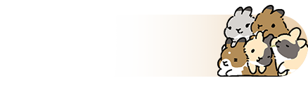 心动次元